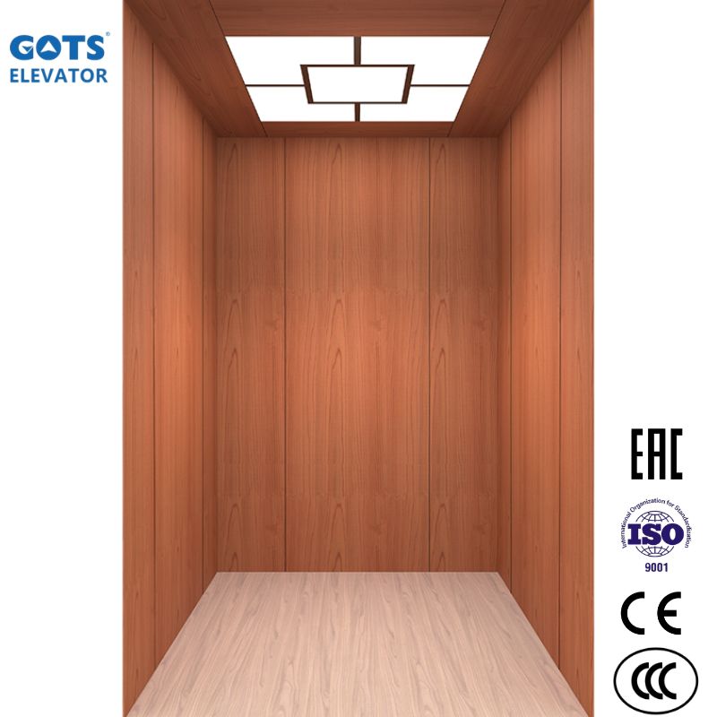 Handicap Accessible Elevator
