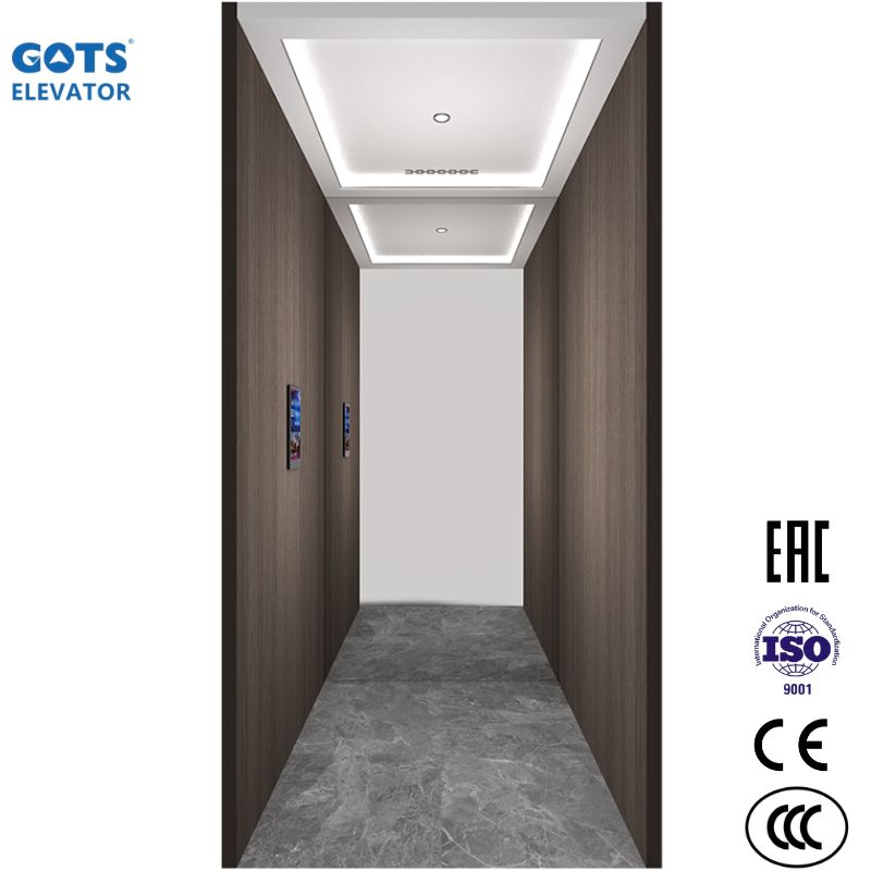 Villa home Elevator